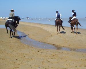 Finca Guzmán Hípica