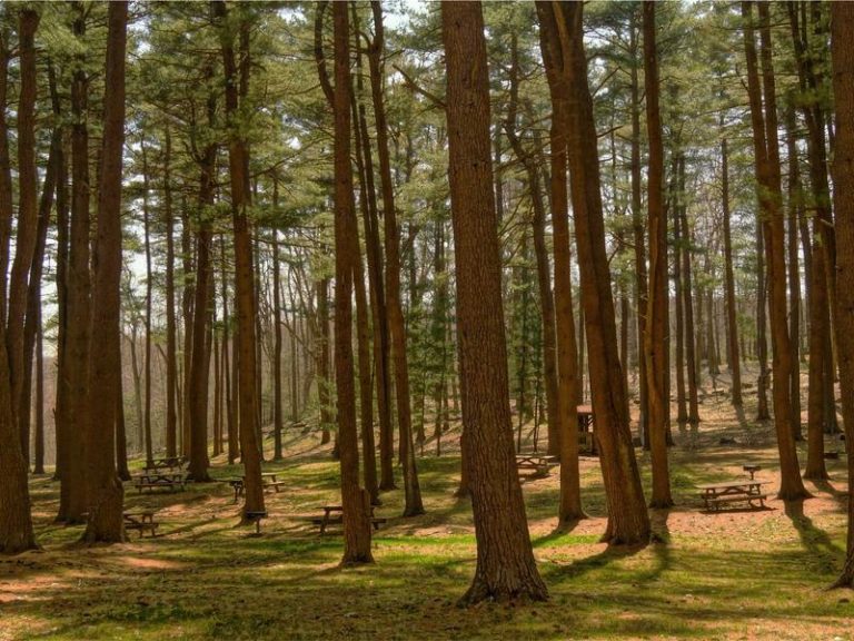 Hostal La Casa del Arco