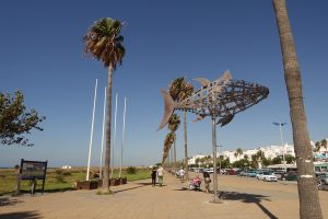 Mercadillo de Verano