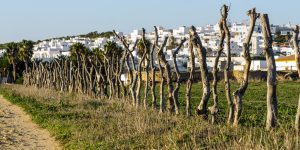 Ruta Castilnovo y Torre de Castilnovo