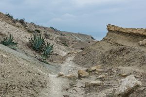 Sendero Conil – Vejer