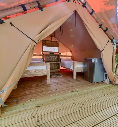 Glamping Safari